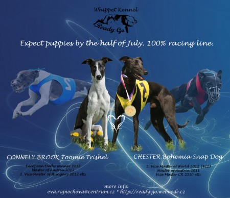 Chovatelská stanice Ready GO - Litter "A"