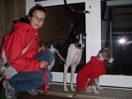 Nový člen smečky!