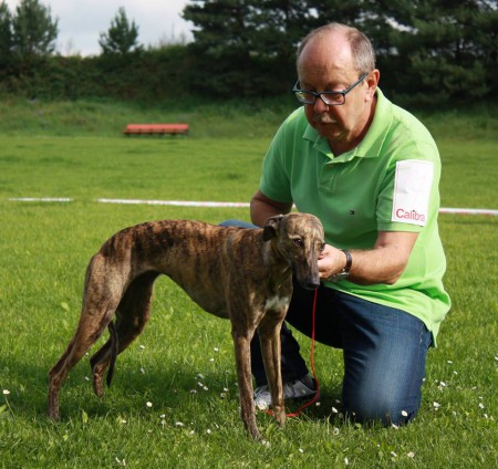 Klubová výstava (Ježkovice, 9,2014)